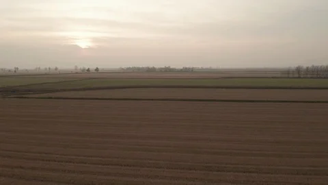 Rice fields at sunset aerial view from cinematic 4k drone 스톡 동영상 99331786