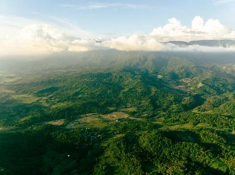 Rice Fields Sunset Fotos Stock