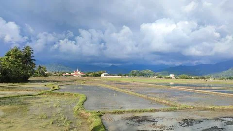 Rice fields surrounded by mountains Stock Photos