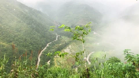 Rice fields surrounded by mountains on a rainy day Stock Footage 131341155