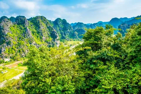 Rice fields, Tam Coc, Ninh Binh, Vietnam landscapes Stock Photos