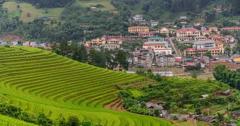 Rice fields on terraced beautiful shape of Mu Cang Chai, YenBai, Vietnam. Stock Photos