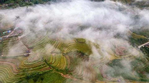 Rice fields on terraced prepare the harvest at Northwest Vietnam. Foto stock