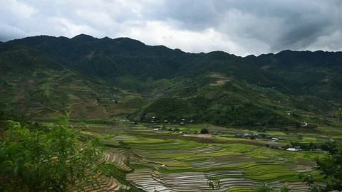 Rice fields on terraced of Sapa (Sa Pa), Vietnam. Stock Footage 77490365