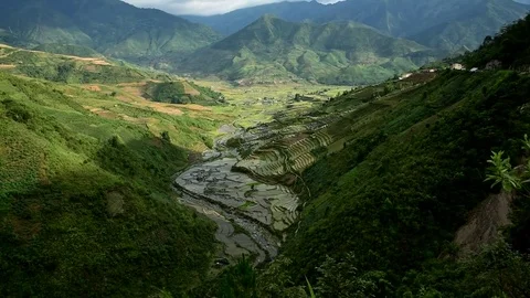Rice fields on terraced of Sapa (Sa Pa), Vietnam. Stock Footage 77490379