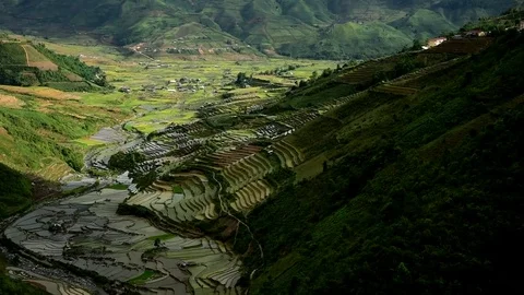 Rice fields on terraced of Sapa (Sa Pa), Vietnam. Stock Footage 77490384