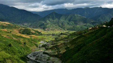 Rice fields on terraced of Sapa (Sa Pa), Vietnam. Stock Footage 77490402