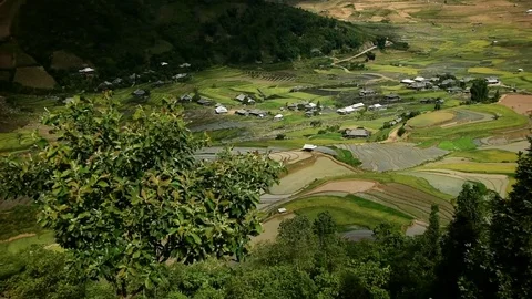 Rice fields on terraced of Sapa (Sa Pa), Vietnam. Stock Footage 77490414
