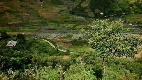 Rice fields on terraced of Sapa (Sa Pa), Vietnam. Stock Footage 77490418