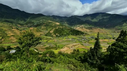 Rice fields on terraced of Sapa (Sa Pa), Vietnam. Stock Footage 77490427