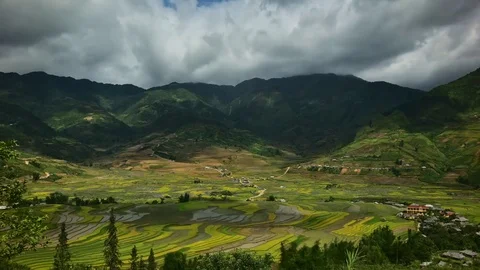 Rice fields on terraced of Sapa (Sa Pa), Vietnam. Stock Footage 77490432