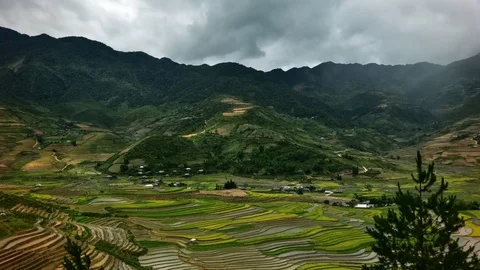 Rice fields on terraced of Sapa (Sa Pa), Vietnam. Stock Footage 77490437