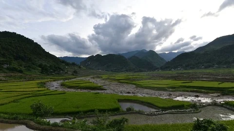 Rice fields on terraced of Sapa (Sa Pa), Vietnam. Rice fields prepared to har Stock Footage 77496993