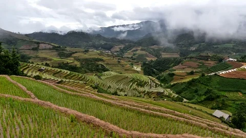 Rice fields on terraced of Sapa (Sa Pa), Vietnam. Rice fields prepared to har Stock Footage 77497117