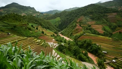 Rice fields on terraced of Sapa (Sa Pa), Vietnam. Rice fields prepared to har Video stock 77497148