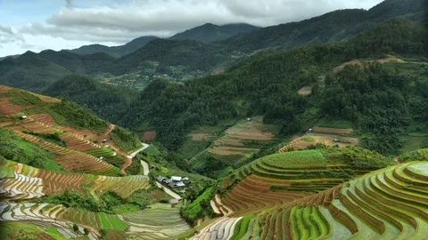 Rice fields on terraced of Sapa (Sa Pa), Vietnam. Rice fields prepared to har Stock Footage 77497347