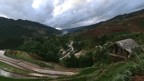 Rice fields on terraced of Sapa (Sa Pa), Vietnam. Rice fields prepared to har Stock Footage 77497370