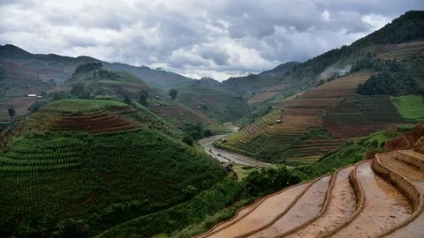 Rice fields on terraced of Sapa (Sa Pa), Vietnam. Rice fields prepared to har Stock Footage 77497383