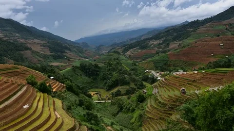 Rice fields on terraced of Sapa (Sa Pa), Vietnam. Rice fields prepared to har Stock Footage 77497432