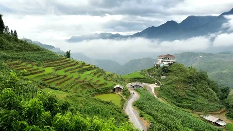 Rice fields on terraced of Sapa (Sa Pa), Vietnam. Rice fields prepared to har Stock Footage 77497557