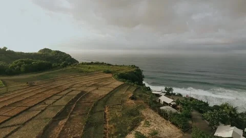 Rice Fields Terraced on top of cliffs with ocean In Indonesia. Aerial View 動画素材 130275129
