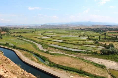 Rice fields top view weather cloudy Stock Photos