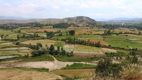 Rice fields top view weather cloudy Stock Photos