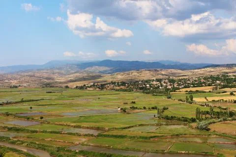 Rice fields top view weather cloudy Stock Photos
