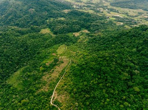 Rice Fields Under Tropical Mountain Aerial Stock Photos