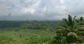 Rice fields valley and volcano Mount Agung covered in clouds in Bali - Indonesia 4k or 4k+ Resolution