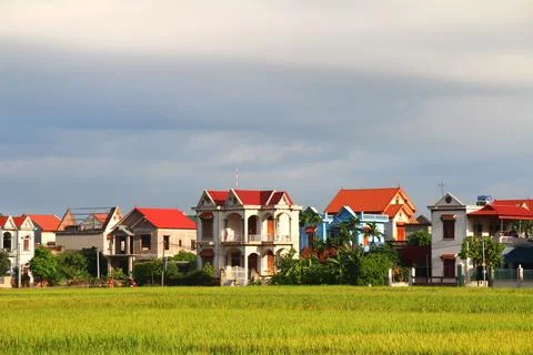 Rice fields in vietnam Foto stock