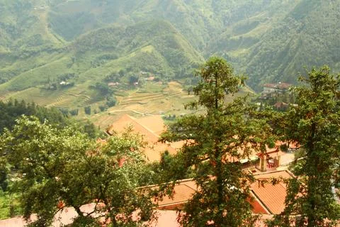 Rice fields in vietnam Stock Photos