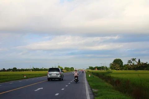 Rice fields in vietnam Foto stock