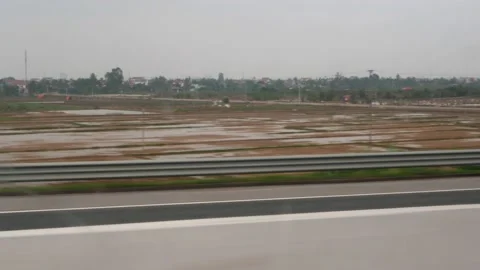 Rice fields in Vietnam seen from a car Stock Footage 147151004