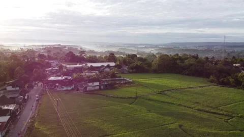 Rice fields view of village Vídeos de archivo 237097439