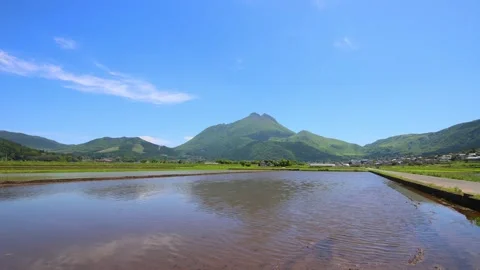Rice fields in Yufuin (Yufuin, Yufu City, Oita Prefecture) Stock Footage 341953564