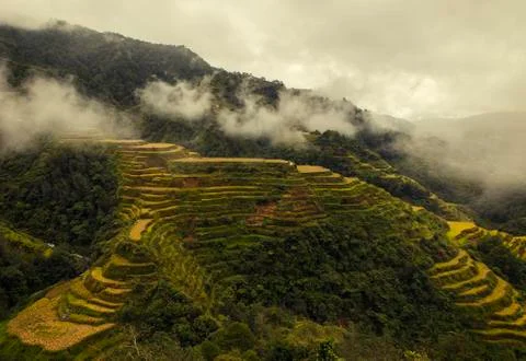Rice fields,banaue Foto stock
