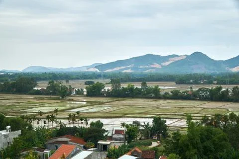 Rice fiels from a high angle view with mountains in the background in Phong Nha Stock Photos