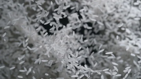 Rice flies after being exploded against black background. Slow Motion. Stock Footage 76238526