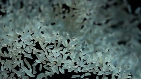 Rice flies after being exploded against black background  Stock Footage 154329308