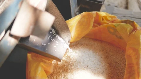 Rice flowing in the yellow sack Stock Footage 109209328
