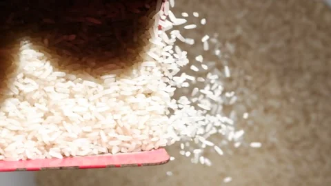 Rice that flows down from rice milling machine. Stock Footage 267057906