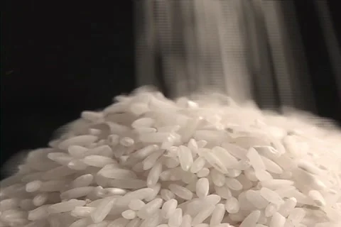 Rice Video stock 1391862
