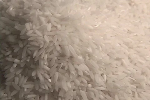 Rice Video stock 1391879