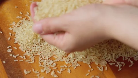 Rice 動画素材 74958255