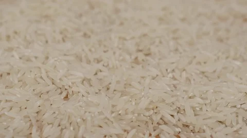 Rice Stock Footage 81530624