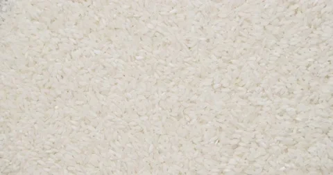 Rice Stock Footage 146481499