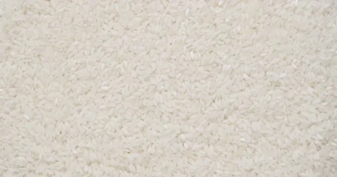 Rice Stock Footage 146481579
