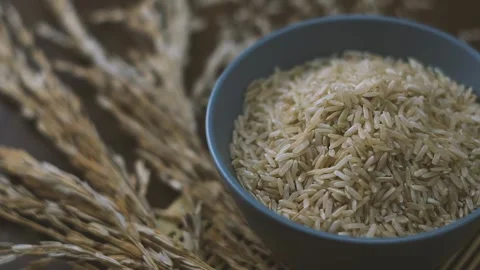 Rice Video stock 148617315