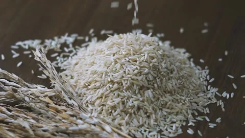 Rice Video stock 148617671